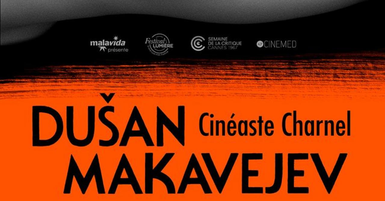 Affiche de l'article : Insolence sans permission : trois films de Dušan Makavejev